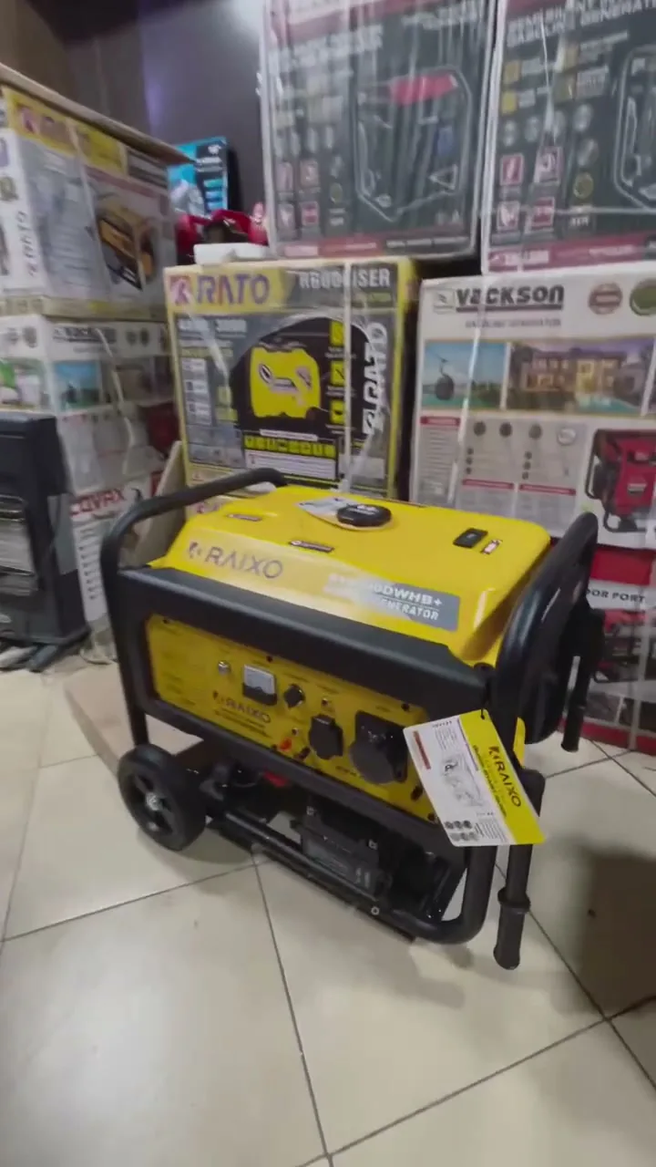 موتور برق رایکسو R10500DWHB+ در فروشگاه نخعی‌زاده